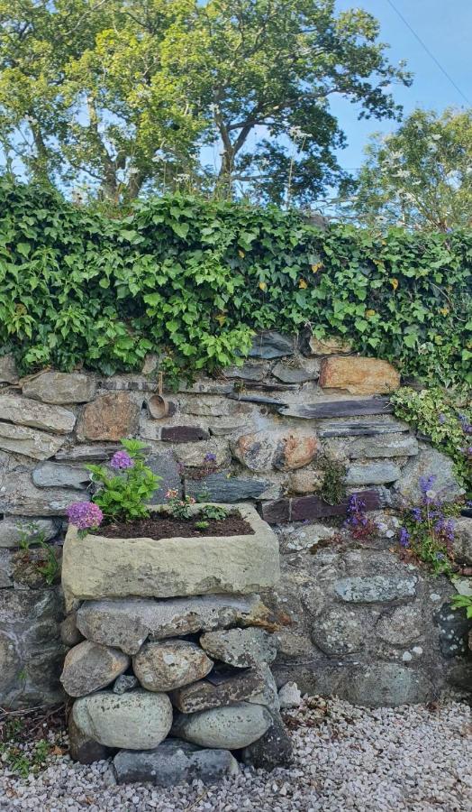 Green Cottage - Snowdonia Llanllechid Eksteriør billede
